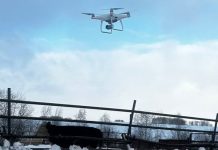 Живущие под Новосибирском звери увидели беспилотник, который за ними наблюдал