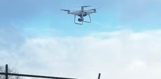 Живущие под Новосибирском звери увидели беспилотник, который за ними наблюдал