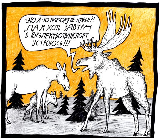 На троллейбус возьмут хоть козла с рогами