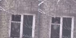 Новосибирцы засняли повисшего на открытом окне ребёнка