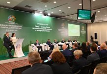 Рост экспорта в Новосибирской области: сельхозпродукция отправляется в 49 стран