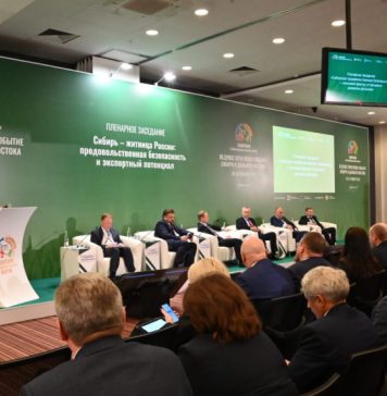 Рост экспорта в Новосибирской области: Сельхозпродукция отправляется в 49 стран