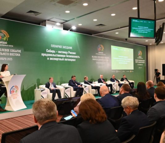 Рост экспорта в Новосибирской области: Сельхозпродукция отправляется в 49 стран