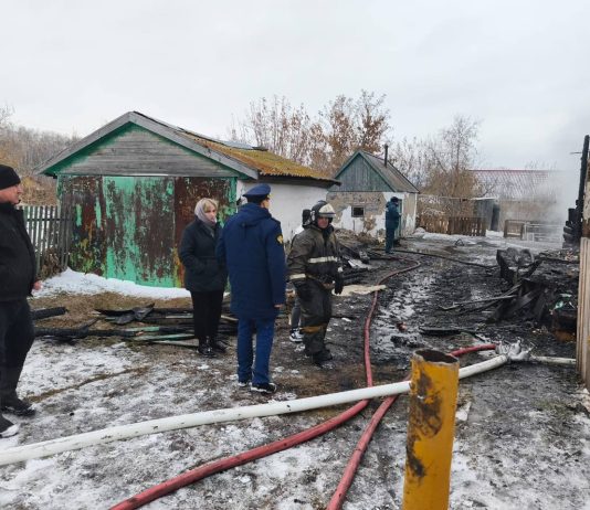 Девочка выносила детей из огня: что известно о пожаре под Новосибирском