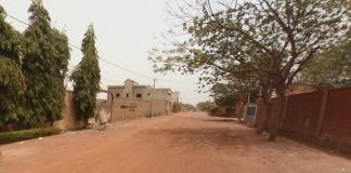 Новосибирск будет обмениваться опытом благоустройства и цифровизации с городом Уагадугу