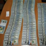 Деньги пахнут: пёс Кодилак нашёл 20 тысяч незадекларированных долларов в Толмачёво