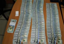 Деньги пахнут: пёс Кодилак нашёл 20 тысяч незадекларированных долларов в Толмачёво