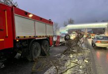 Снёс ограждение, вылетел на встречку: 20-летний новосибирец устроил смертельное ДТП