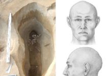 Под Новосибирском найдено захоронение эпохи неолита. Учёные реконструировали облик похороненного