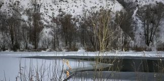 В Новосибирске два ребёнка провалились под лёд — одного не спасли