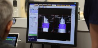 Впервые в Сибири в НГУ провели компьютерную томографию сердца у мини-пигов