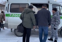 В Новосибирской области нашли и выдворили австралийца-нелегала