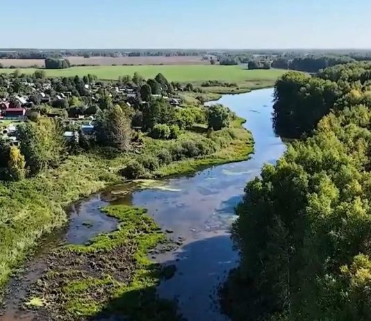 Кудряшовскому свинокомплексу показали небо с овчинку
