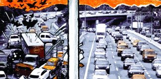 ТЕМА ГОДА: ВСПЛЕСК ДТП. Новосибирские тыквы потихоньку вновь превращаются в камеры