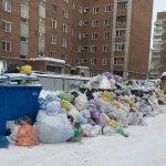 Новосибирских чиновников массово привлекли к ответу за мусорный коллапс
