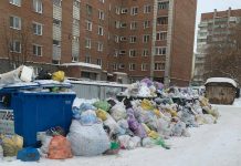 Новосибирских чиновников массово привлекли к ответу за мусорный коллапс