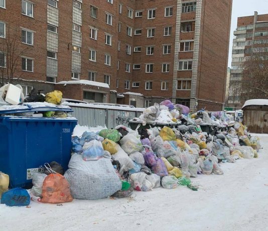 Новосибирских чиновников массово привлекли к ответу за мусорный коллапс