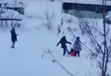 Новосибирские подростки жестоко избили 10-летнего ребенка: Бастрыкин взял дело на контроль