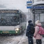 Новосибирским школьникам разрешат не платить за проезд на зимних каникулах