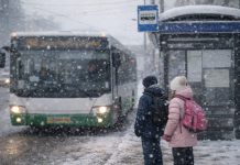 Новосибирским школьникам разрешат не платить за проезд на зимних каникулах