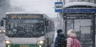 Новосибирским школьникам разрешат не платить за проезд на зимних каникулах