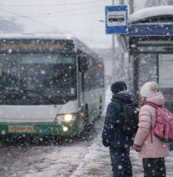 Новосибирским школьникам разрешат не платить за проезд на зимних каникулах