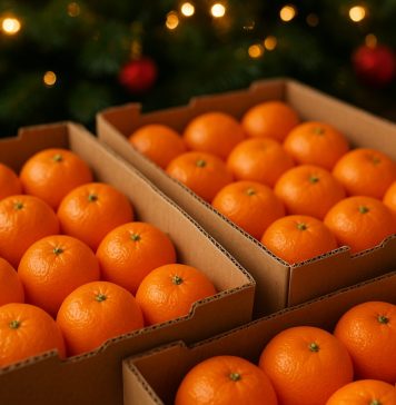 Новосибирская область стала одним из крупнейших получателей мандаринов в Сибири