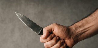 Новосибирец, сбросивший собаку с 6-го этажа, напал на свидетеля своего преступления