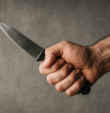 Новосибирец, сбросивший собаку с 6-го этажа, напал на свидетеля своего преступления