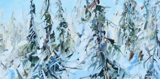 «Мороз и ёлка»: новосибирский взгляд на зиму в Краеведческом музее