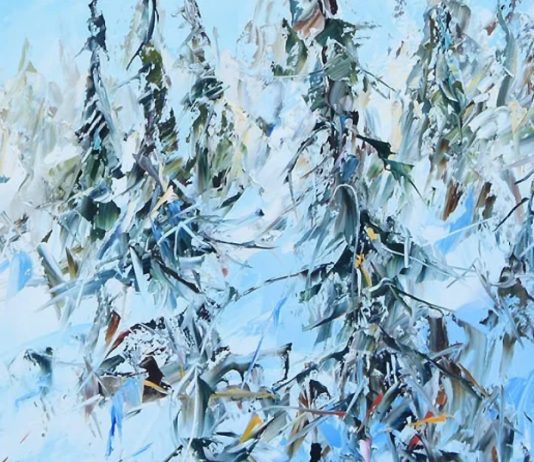 «Мороз и ёлка»: новосибирский взгляд на зиму в Краеведческом музее