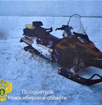 Новосибирцам, которые волокли привязанного к снегоходу кабана по заповеднику, вынесли приговор