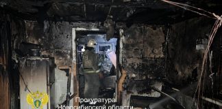 За смерть маленьких детей при пожаре под Новосибирском матери дали полгода