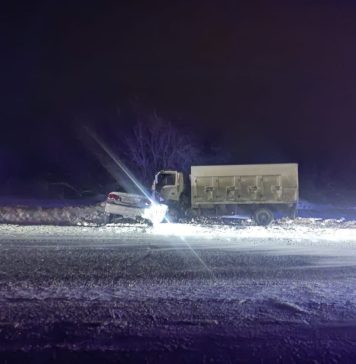 Пожилой водитель и пассажир погибли в ДТП с грузовиком под Новосибирском