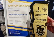 Лучшим в России признан новосибирский сервис по розыску пропавших детей