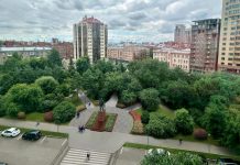 В новосибирском Тихом центре хотят сделать негромкий сад