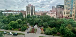 В новосибирском Тихом центре хотят сделать негромкий сад