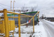 К Прямой линии президента: Новосибирцы просят Владимира Путина добавить газку