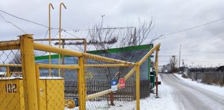 К Прямой линии президента: Новосибирцы просят Владимира Путина добавить газку