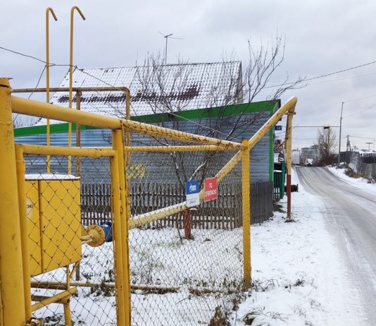 К Прямой линии президента: Новосибирцы просят Владимира Путина добавить газку