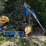 Новосибирск заплатит полмиллиона женщине, придавленной рухнувшим на остановку деревом