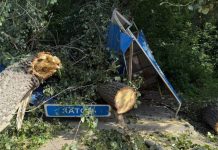 Новосибирск заплатит полмиллиона женщине, придавленной рухнувшим на остановку деревом