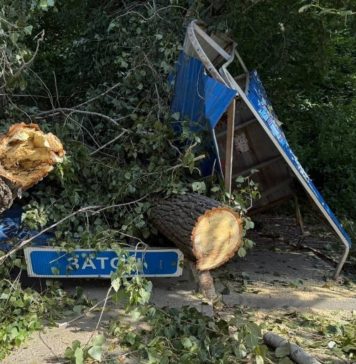 Новосибирск заплатит полмиллиона женщине, придавленной рухнувшим на остановку деревом
