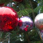 Как выбрать новогоднюю ёлку посоветовали новосибирцам эксперты