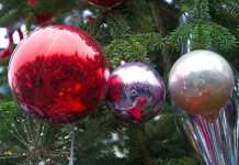 Как выбрать новогоднюю ёлку посоветовали новосибирцам эксперты