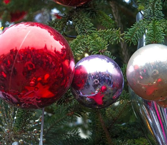 Как выбрать новогоднюю ёлку, посоветовали новосибирцам эксперты