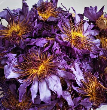 Посылка с наркотическим чаем из-за границы заинтересовала новосибирских таможенников