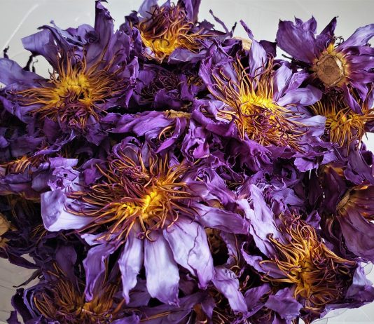 Посылка с наркотическим чаем из-за границы заинтересовала новосибирских таможенников