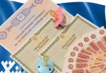 664 фейковых ребёнка: В Новосибирске завершено расследование аферы по нацпроекту «Демография»