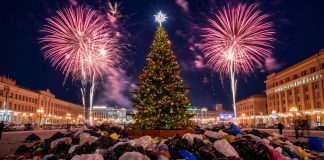 Мусор, пожары, уборка снега: Новосибирская область готовится к опасностям новогодних праздников